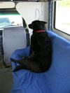 Anna's RV ride 2009