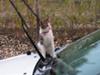 George helping to wash the car