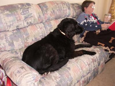 Shadow and I watching TV--Animal Planet of course