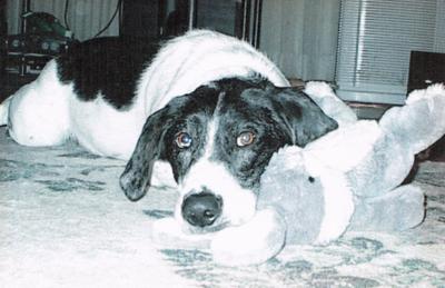 Chewie - January 1, 1998 to October 16, 2012