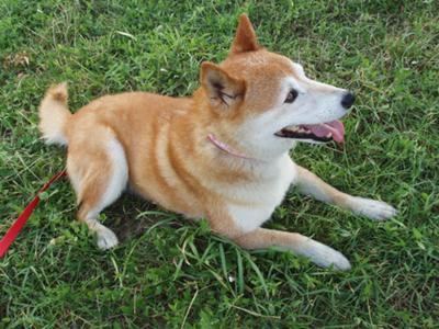 I love you so much...... I love you so much......