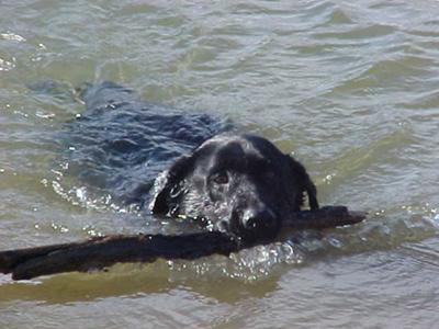 Jeter at the Lake!