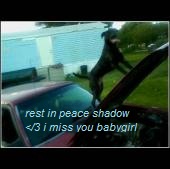 My Baby Shadow