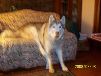 Blue on his chair