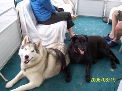 Blue and Karma on the Pontoon Boat