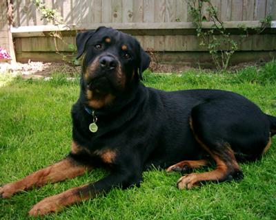 Guy 1998-2008