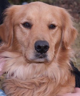 Picture taken of Benson two months before he passed