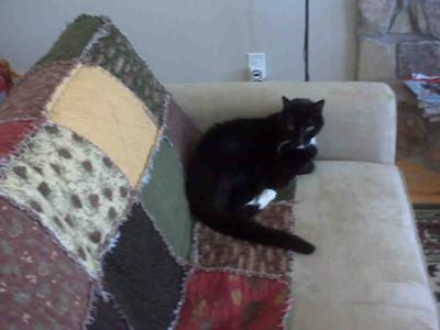KC on HIS quilt at cabin