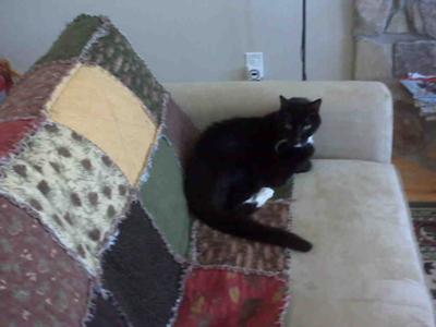 KC on HIS quilt at cabin