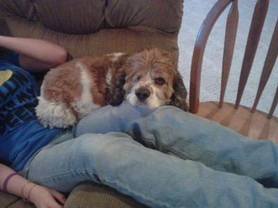 Sitting on my lap <3