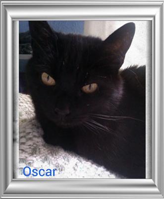 Oscar