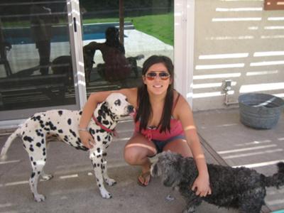 Queenie and Missy on a hot summer day