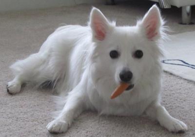 Baby loves Baby carrots