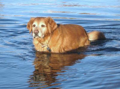 Bent doing what he loved the most... fishing