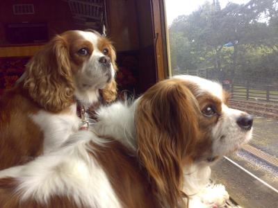 Heidi sitting up watching the world ...