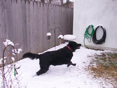 Running in the snow