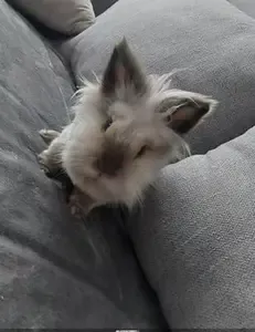 Best Friends