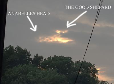 ANABELLE 180 DAYS AFTER PASSING