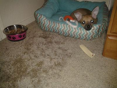 after getting her new bed(: