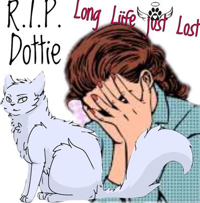 A Few Hours Before She Passed