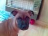 R.I.P Morgan x
