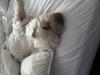 Schlumped at the hotel