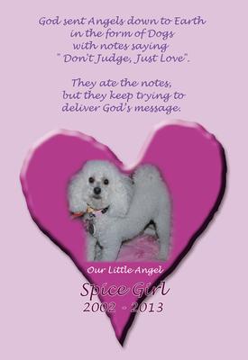 Spice Girl our little Angel 