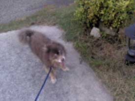 Loved To Go Walking With Him