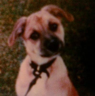 Akasha  08/1998-05/19/2010