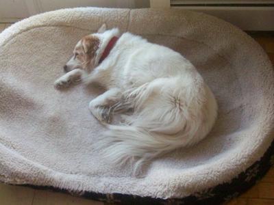 We shall meet again angel girl