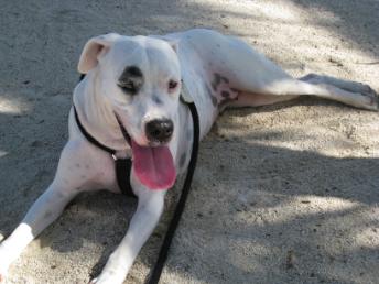 In Loving Memory of Rita