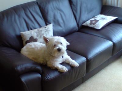 Sam, contributing to the family office.