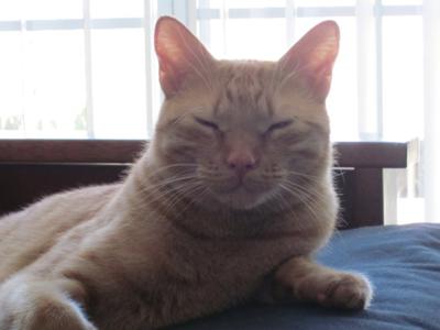 Jasper always had a smile