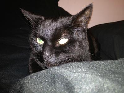 Together in the Light