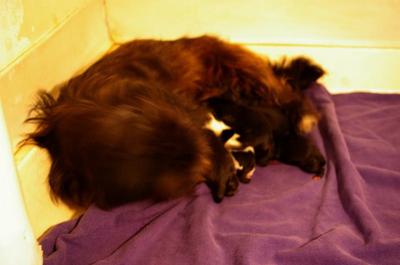 And these were my babies on the happiest day of my life