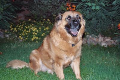 Max Egnatios - December, 1997 to September, 2010