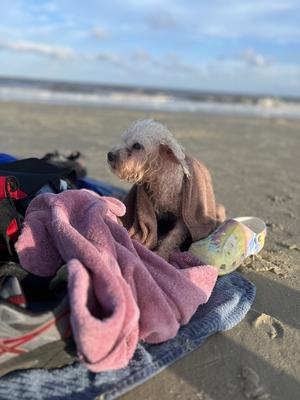 Nemo’s beach trip
