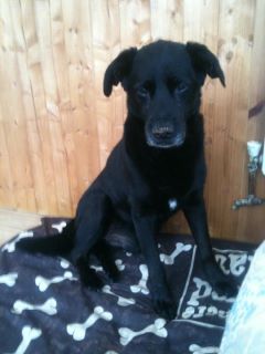 2 days before you passed away