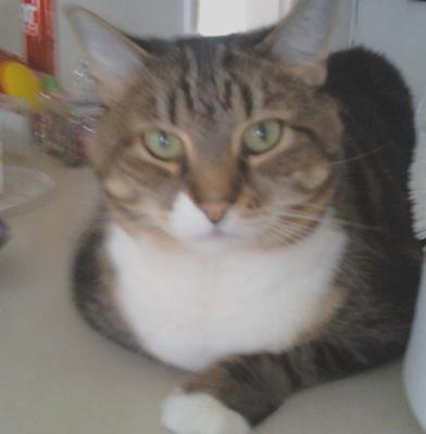 <3 My Tuddie <3    6/30/98-4/17/10