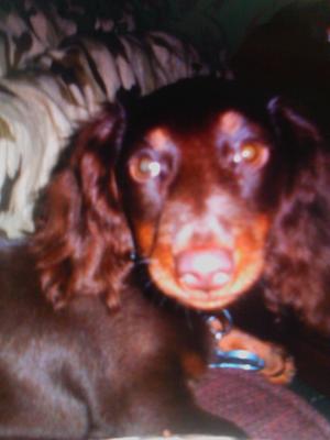 Copper September 17, 2012