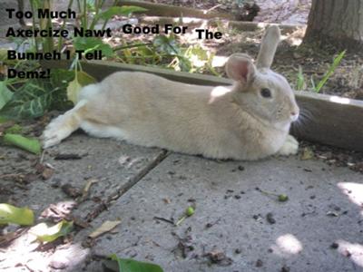 Have a rest, Thumps..