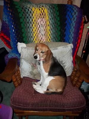 Bella...picture perfect