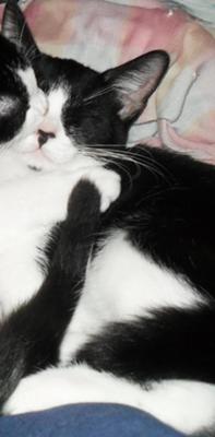 Hitler 9/9/09-4/15/2010