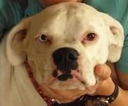 Bluebell my best friend! !