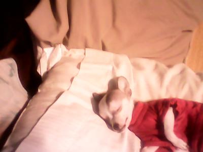 Shortly after passing.