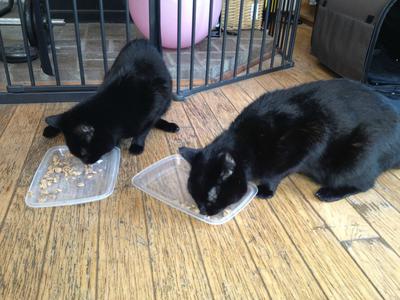 Finally Reunited in Paradise